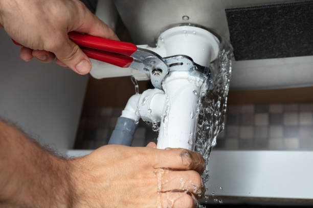 Best 24/7 water damage repair  in Gulf Shores, AL