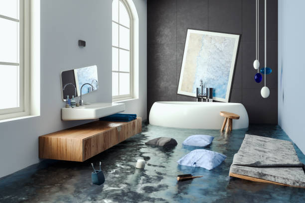 Best Professional water damage repair  in Gulf Shores, AL