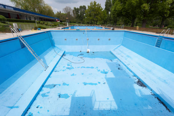 Best Basement water damage restoration  in Gulf Shores, AL