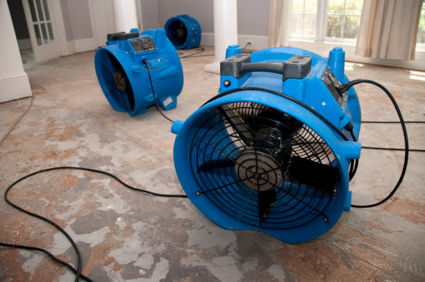Best Local water damage restoration  in Gulf Shores, AL