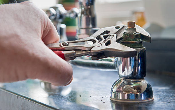 Best Ceiling water damage repair  in Gulf Shores, AL