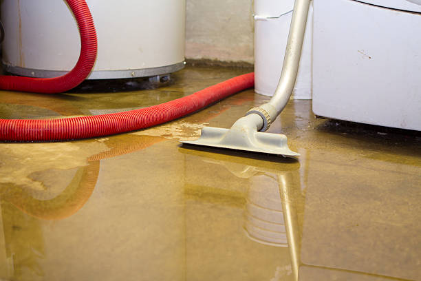 Best Mold removal after water damage  in Gulf Shores, AL