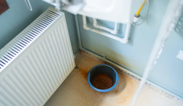 Best Ceiling water damage repair  in Gulf Shores, AL