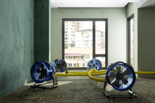 Best Water damage restoration process  in Gulf Shores, AL