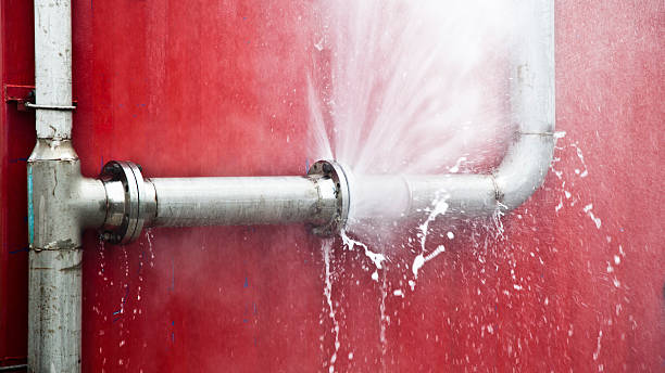 Best Water damage restoration specialists  in Gulf Shores, AL
